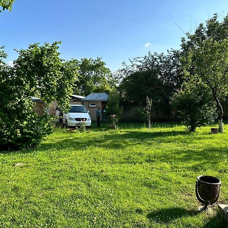 Villa In Qabala Екстер'єр фото